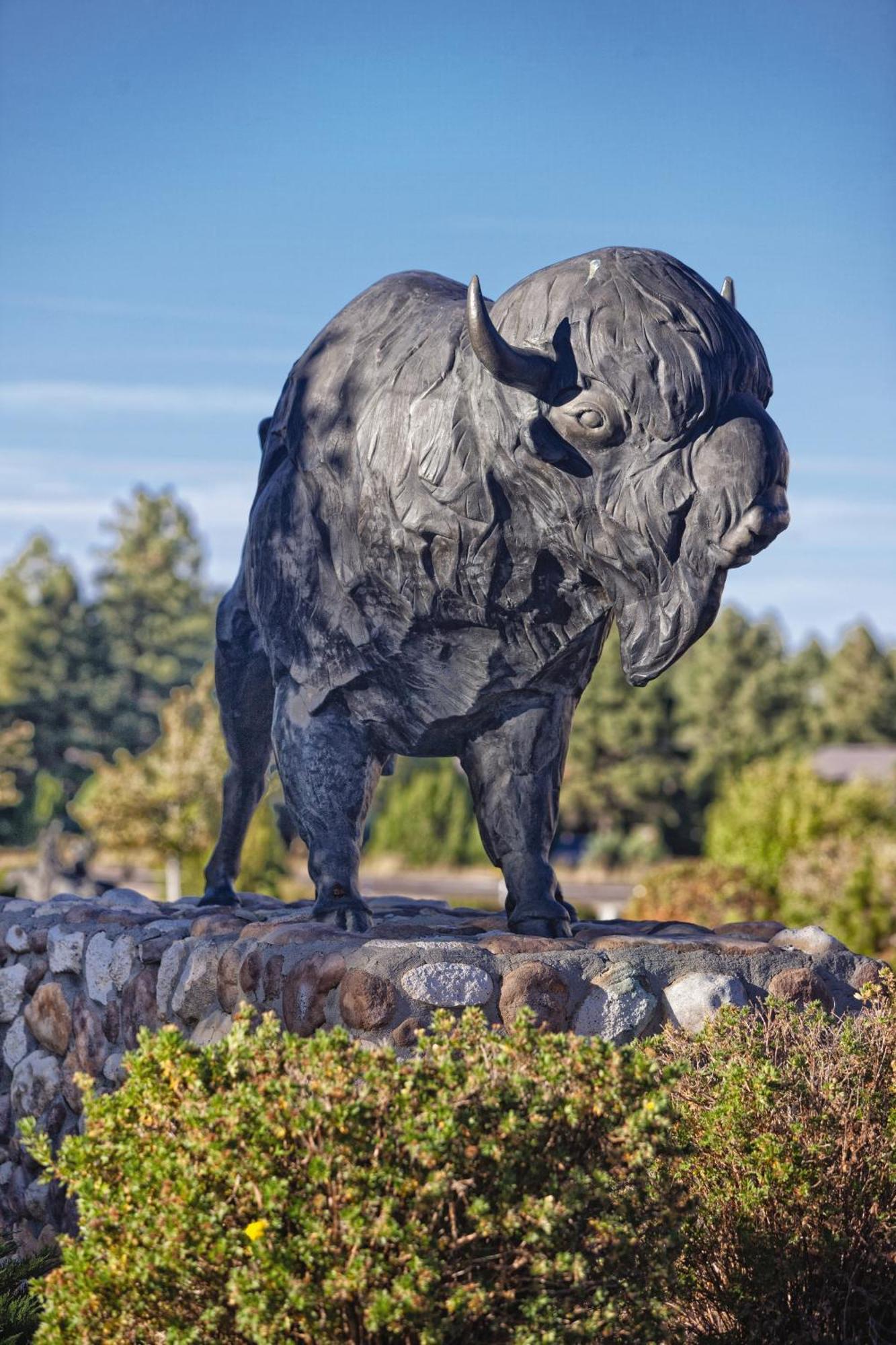 Worldmark Bison Ranch Overgaard Exterior foto
